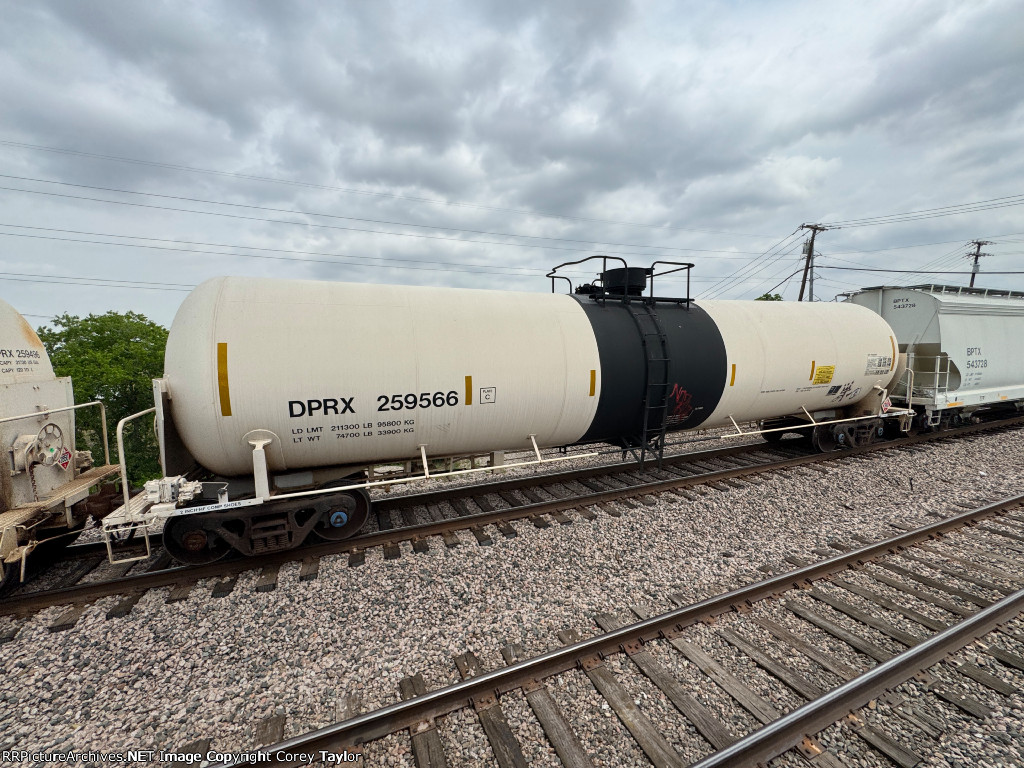 DPRX 259566